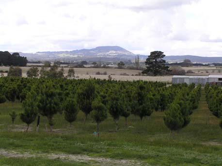 Mt Buninyong